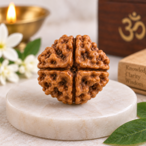 Natural 4 Mukhi Rudraksha