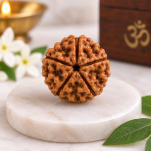 Natural 5 Mukhi Rudraksha